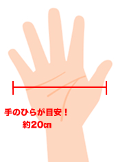 サイズの目安となる手のひらのイメージ